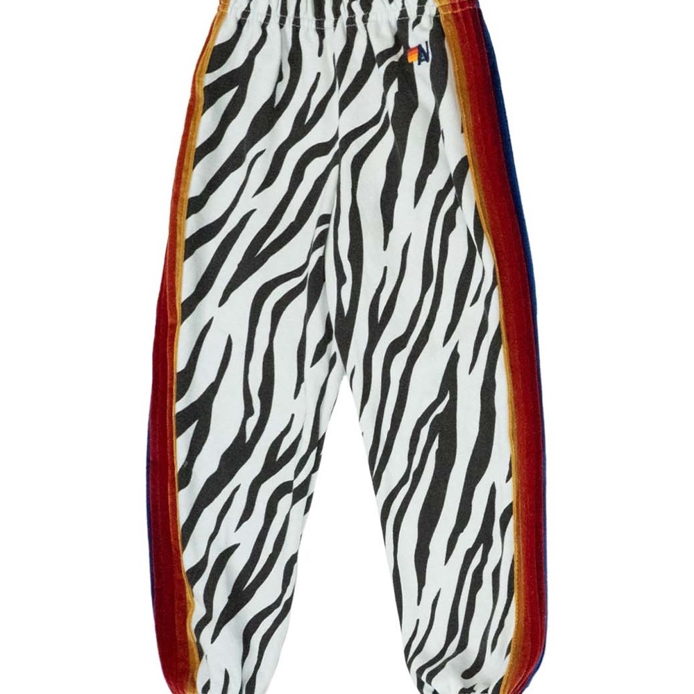 Aviator Nation Zebra Print Pants with Multicolor Stripes
